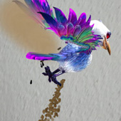 Shitsalot the seagull